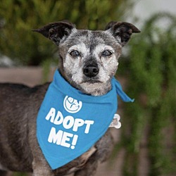 Photo of Cherie