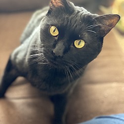 Photo of Tank