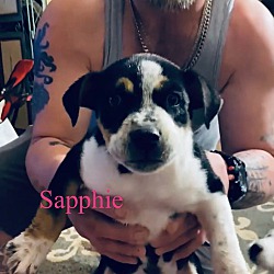 Photo of Sapphie
