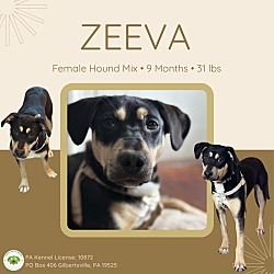 Thumbnail photo of Zeeva #1