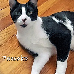 Thumbnail photo of Pancake #3