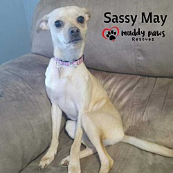 Thumbnail photo of Sassy May #3