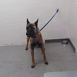 Photo of URGENT on 8/8 SAN BERNARDINO