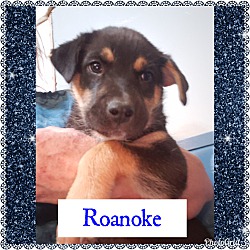 Photo of Roanoke