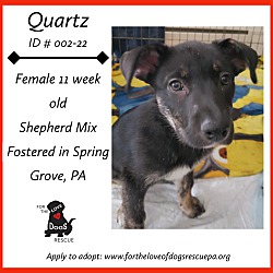 Thumbnail photo of Quartz #2