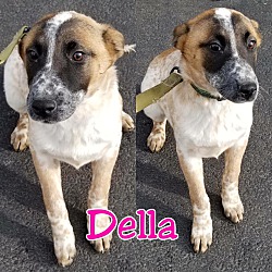 Photo of Della
