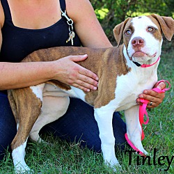 Thumbnail photo of Tinley ~ meet me! #3