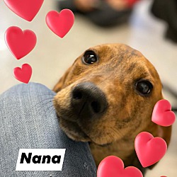 Photo of Nana