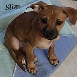 Photo of Slim