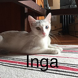 Thumbnail photo of Inga #3