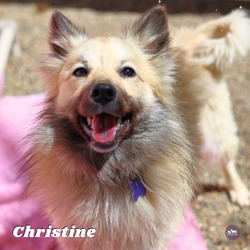 Thumbnail photo of Christine #3