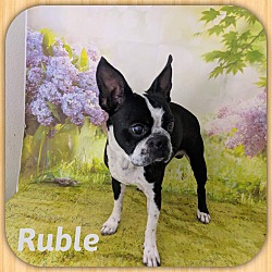 Thumbnail photo of Ruble #2