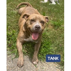 Photo of TANK