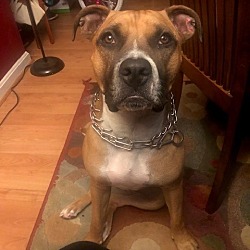Photo of King