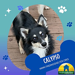Photo of Calypso