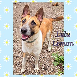 Photo of Lulu Lemon