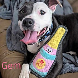 Thumbnail photo of GEM #1