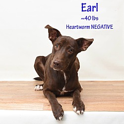 Thumbnail photo of Earl #1