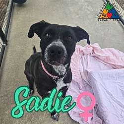 Thumbnail photo of Sadie #1