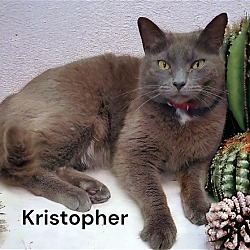 Photo of Kristopher