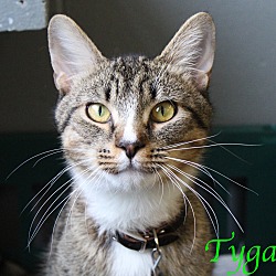 Thumbnail photo of Tyga #1