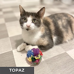 Photo of Topaz