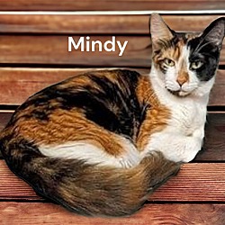 Thumbnail photo of Mindy #2