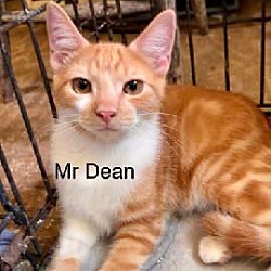 Photo of Dean