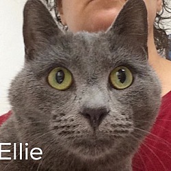 Thumbnail photo of Ellie #1