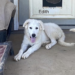 Photo of Edith