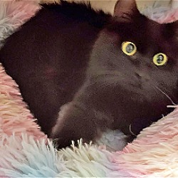 Photo of Maya and her son Armani - Offered by Owner