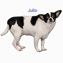 Photo of Julio