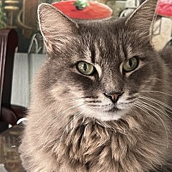 Photo of Spike