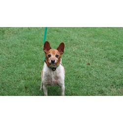Photo of TUCKER