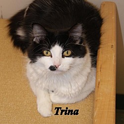 Photo of Trina