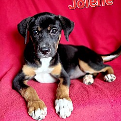 Photo of Jolene