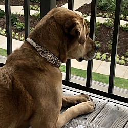 Photo of Luna