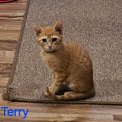 Photo of Terry