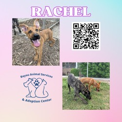 Thumbnail photo of Rachel #2