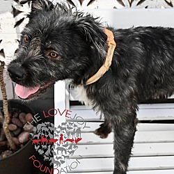 Thumbnail photo of Asher #1