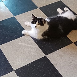 Photo of Estrella