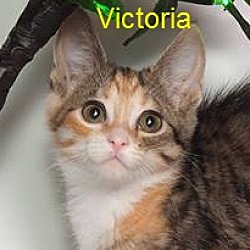 Photo of Victoria