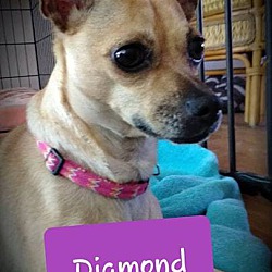 Thumbnail photo of Diamond #1