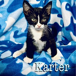 Photo of Karter