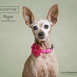 Thumbnail photo of Aqua #2