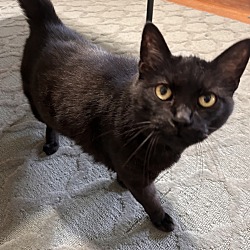 Photo of Vader