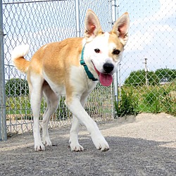 Photo of Lily