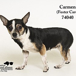 Thumbnail photo of Carmen  (Foster Care) #3