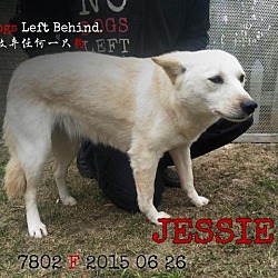 Thumbnail photo of Jessie 2802 #4