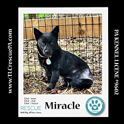 Thumbnail photo of Miracle 040624 #2